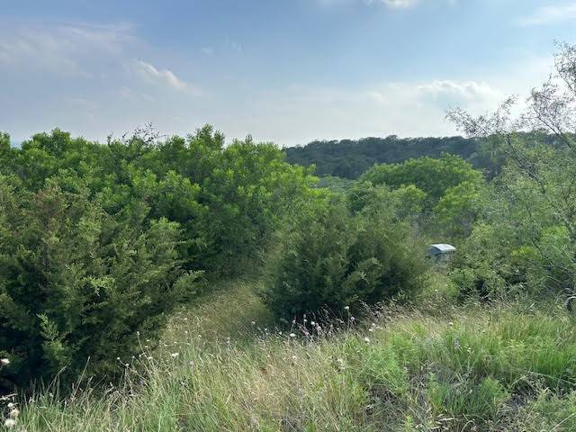 Graford, TX 76449,1041 Raven CIR