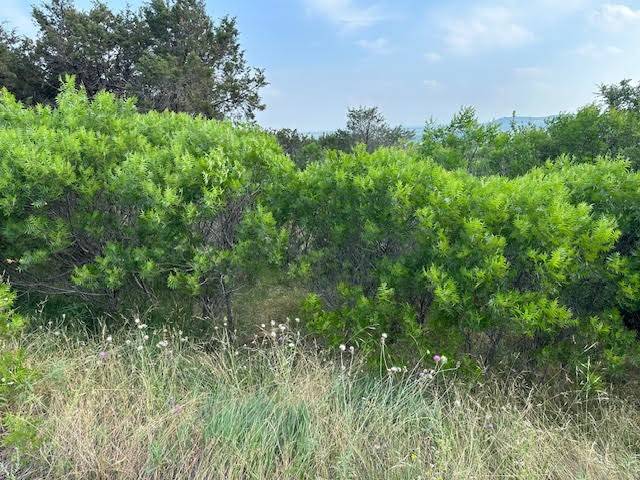 Graford, TX 76449,1041 Raven CIR