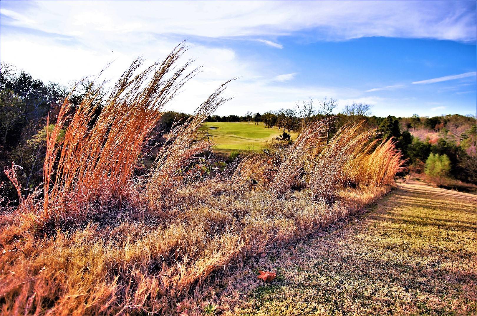 Gordonville, TX 76245,Lot 9D St Andrews CT