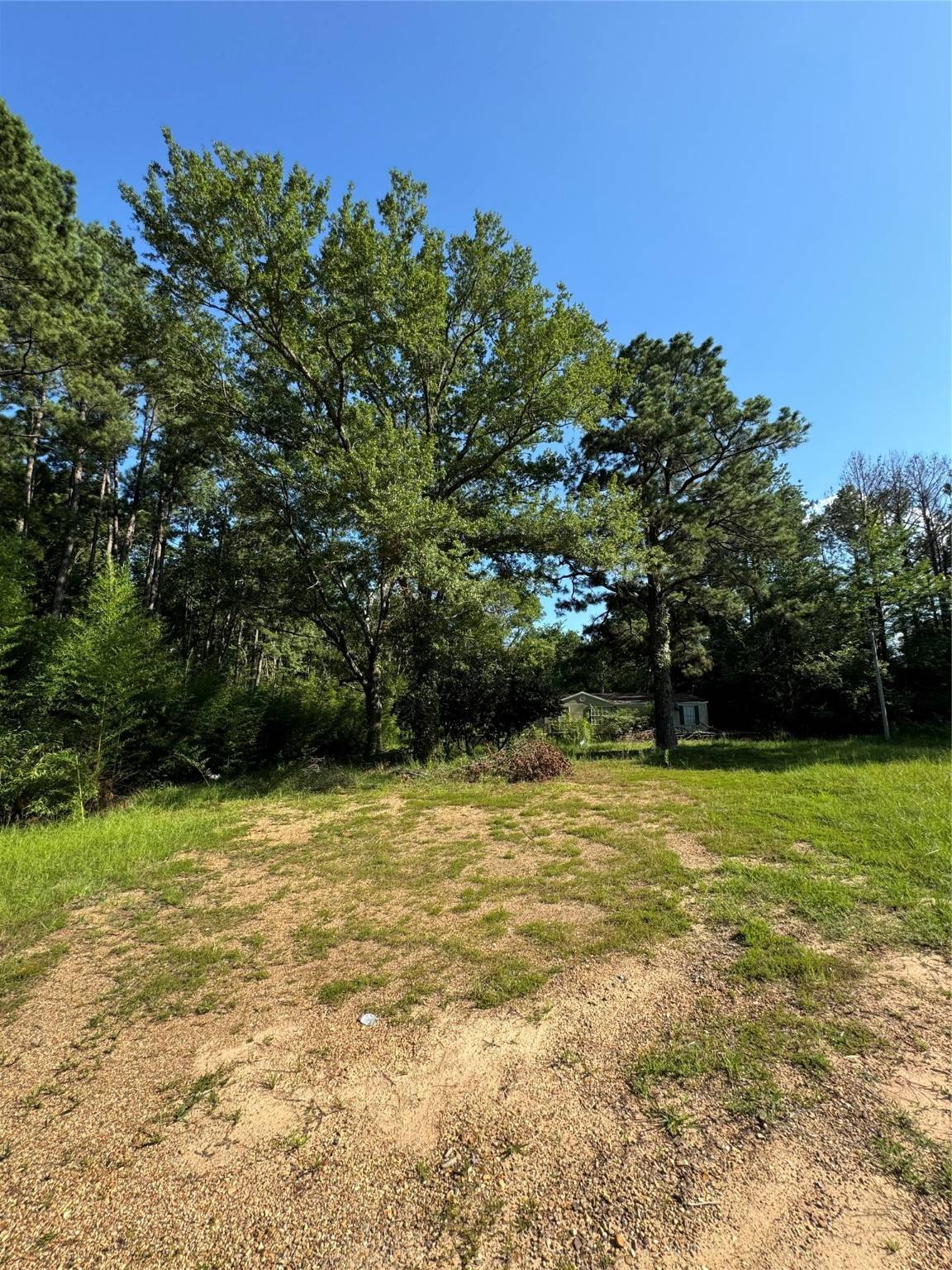 Doyline, LA 71023,995 Carter RD
