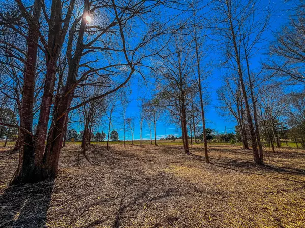 Jacksonville, TX 75766,Tract 1 County Road 1713