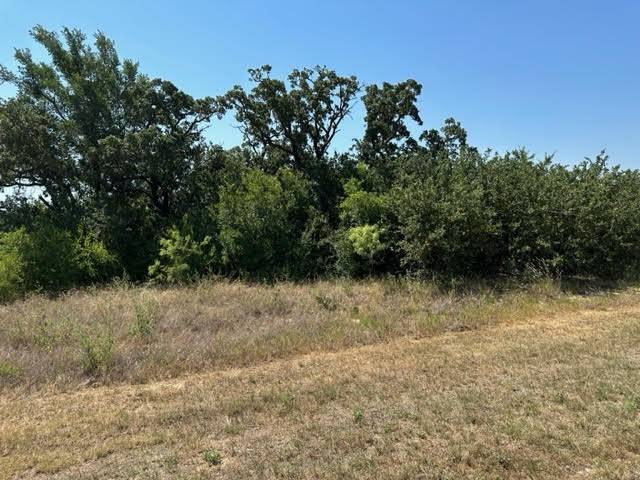 Graford, TX 76449,Lot 975 Cinnamon Teal