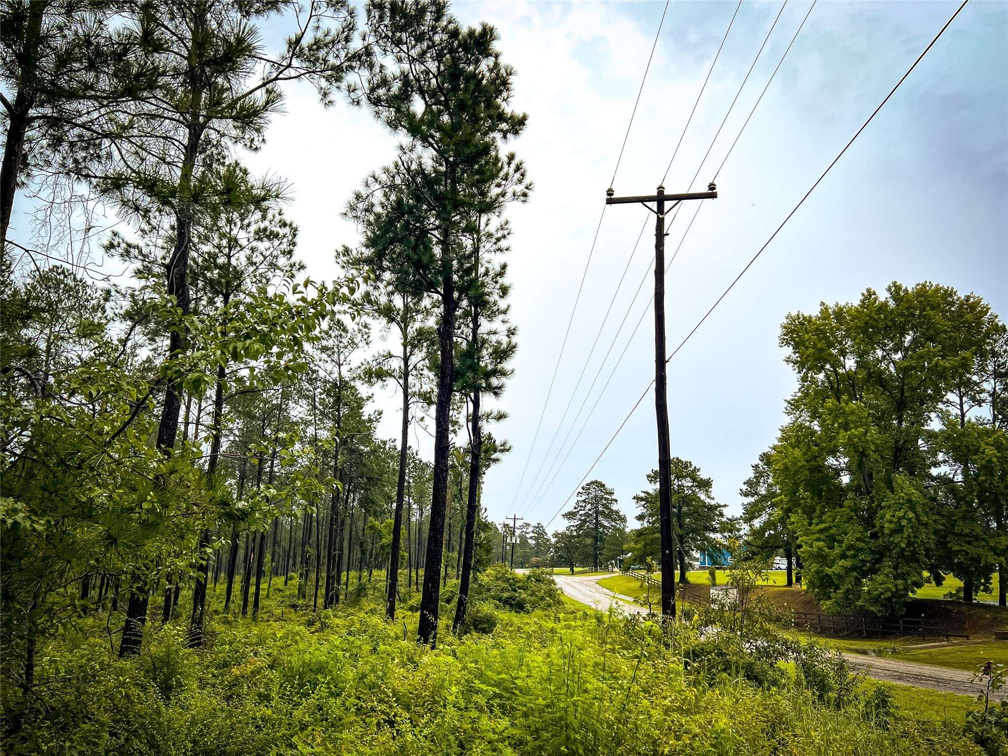 Jasper, TX 75951,1 CR 257