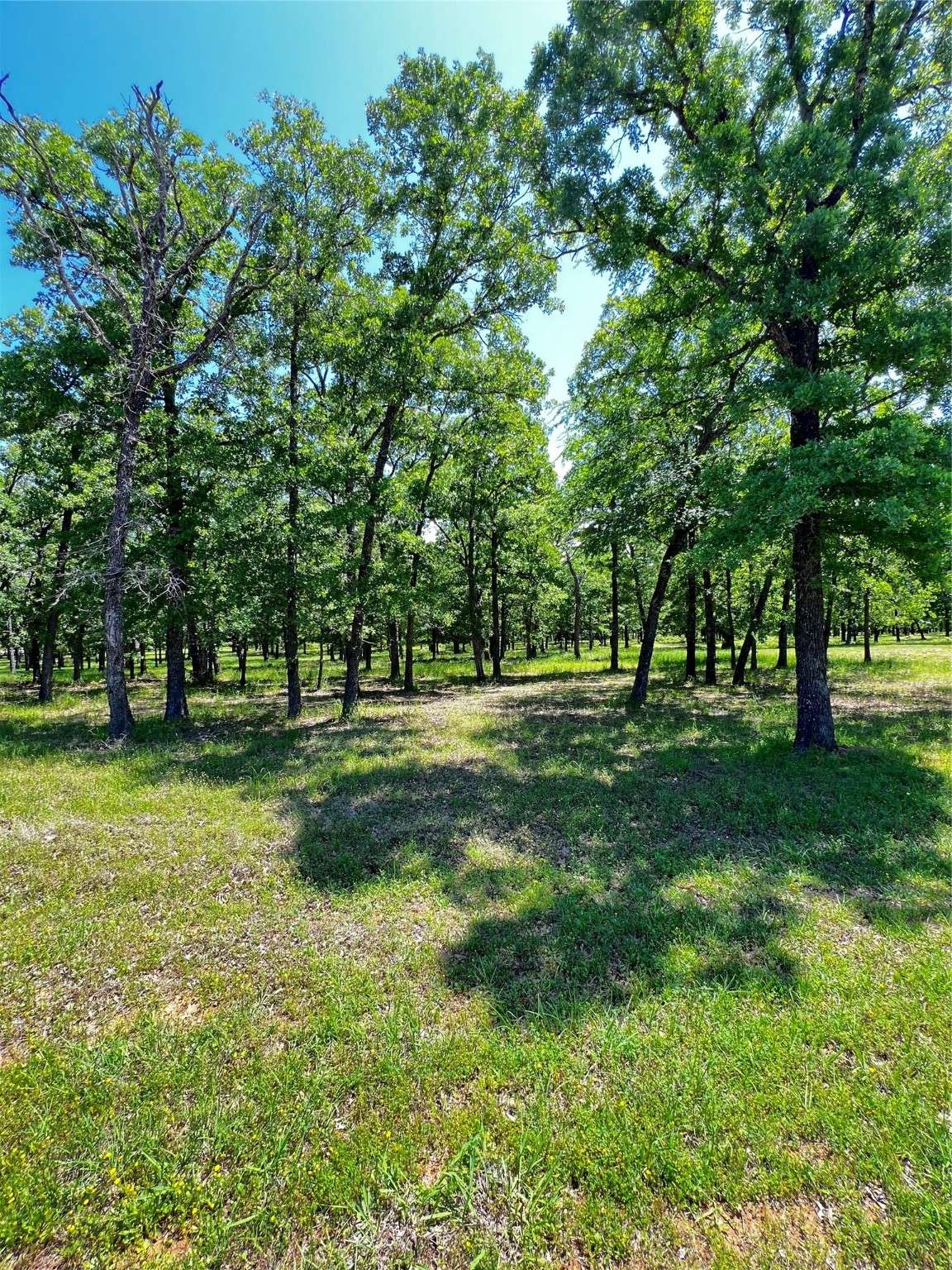 Malakoff, TX 75148,0 TBD Indian SPGS