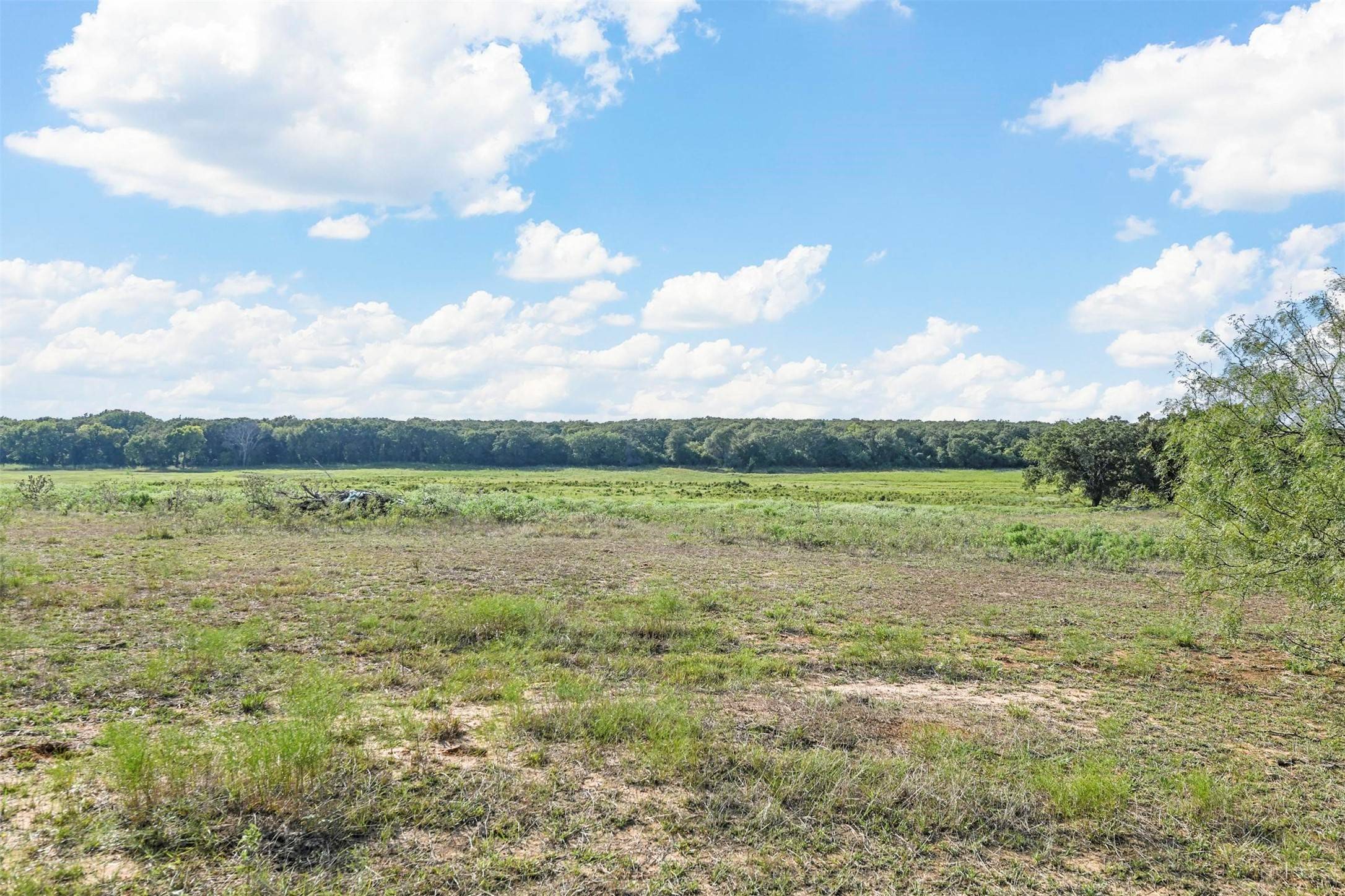 Montague, TX 76251,0000 Allen RD