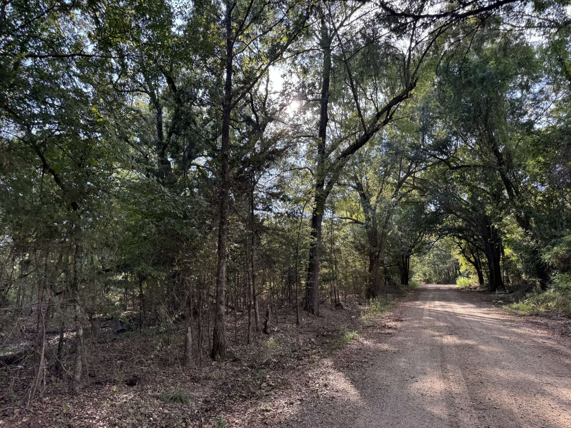 Bagwell, TX 75412,000 CR 2362