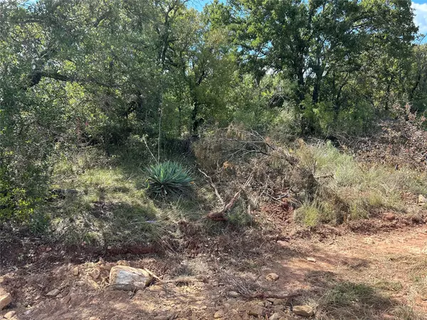 555 Oak Point DR, May, TX 76857