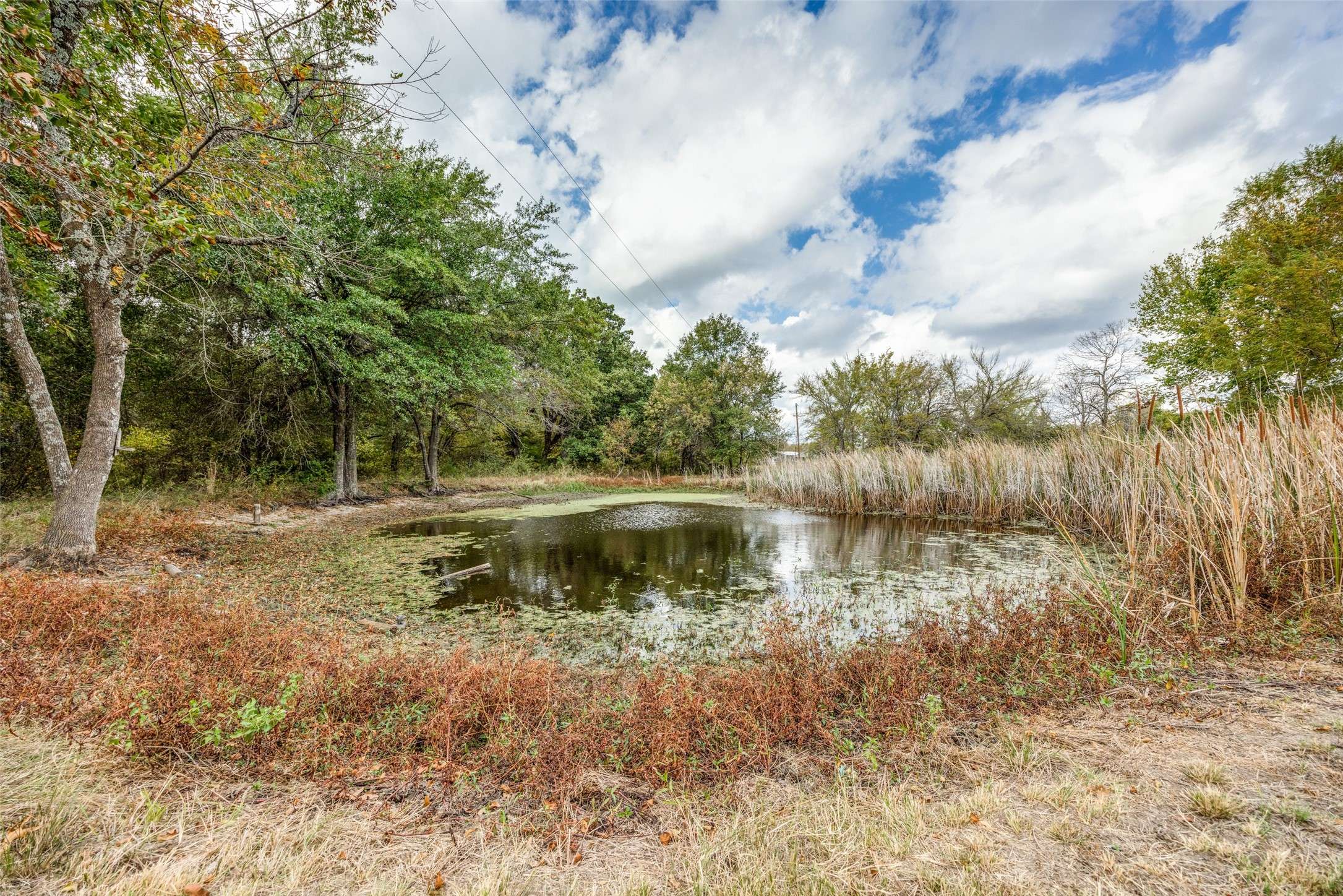 Wolfe City, TX 75496,1345 Fm 1563