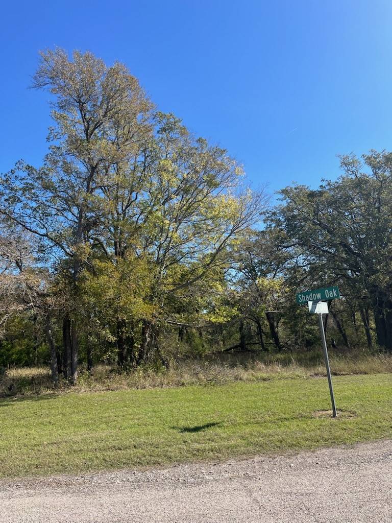 Streetman, TX 75859,68 April CV