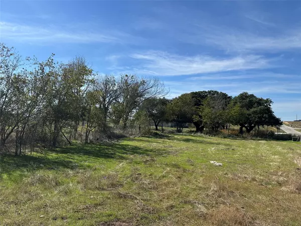 Weatherford, TX 76088,1001 Lilly LN