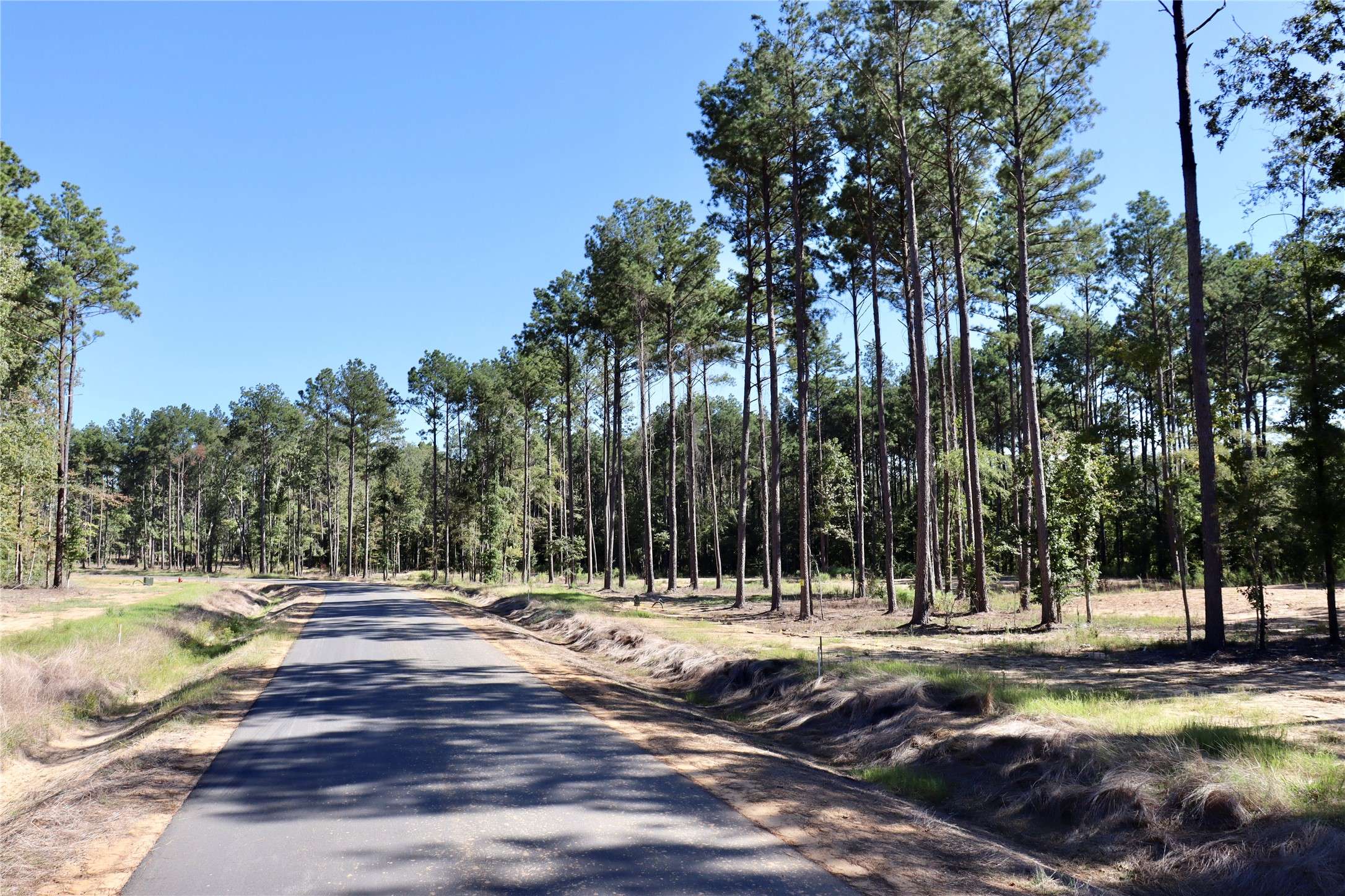 Princeton, LA 71067,116 Faith Plantation DR #41