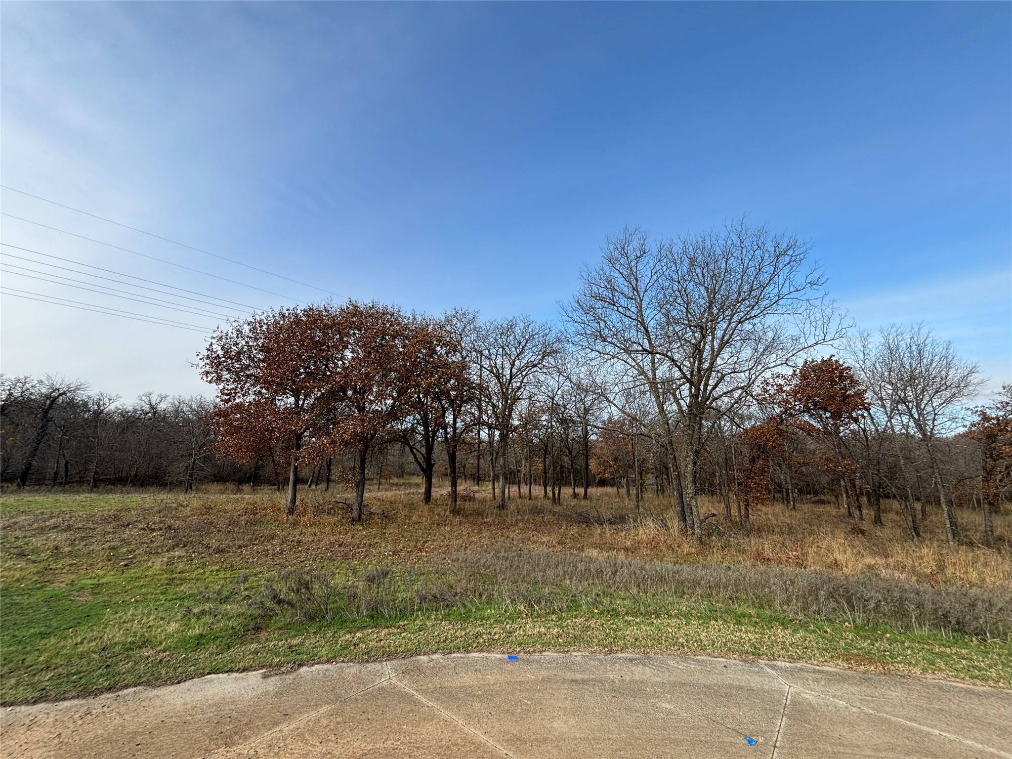 Copper Canyon, TX 75077,795 Deer PATH