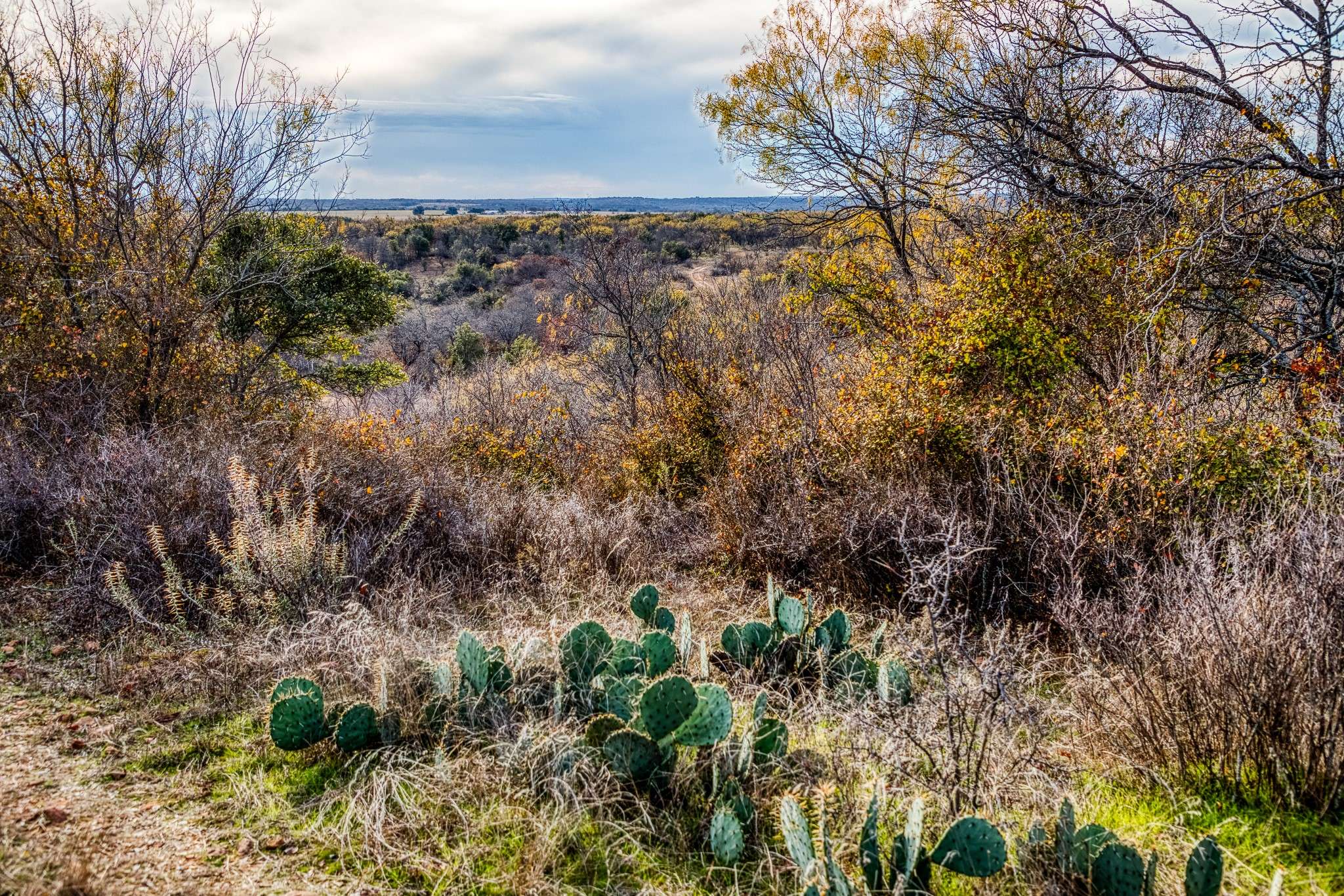 Graham, TX 76450,515 Reeves RD
