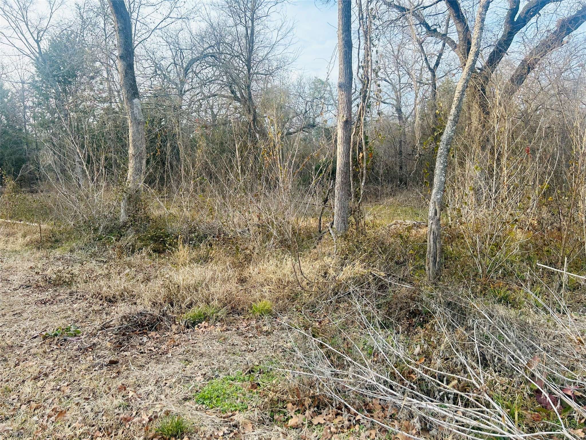 Trinidad, TX 75163,0 Lakeview DR