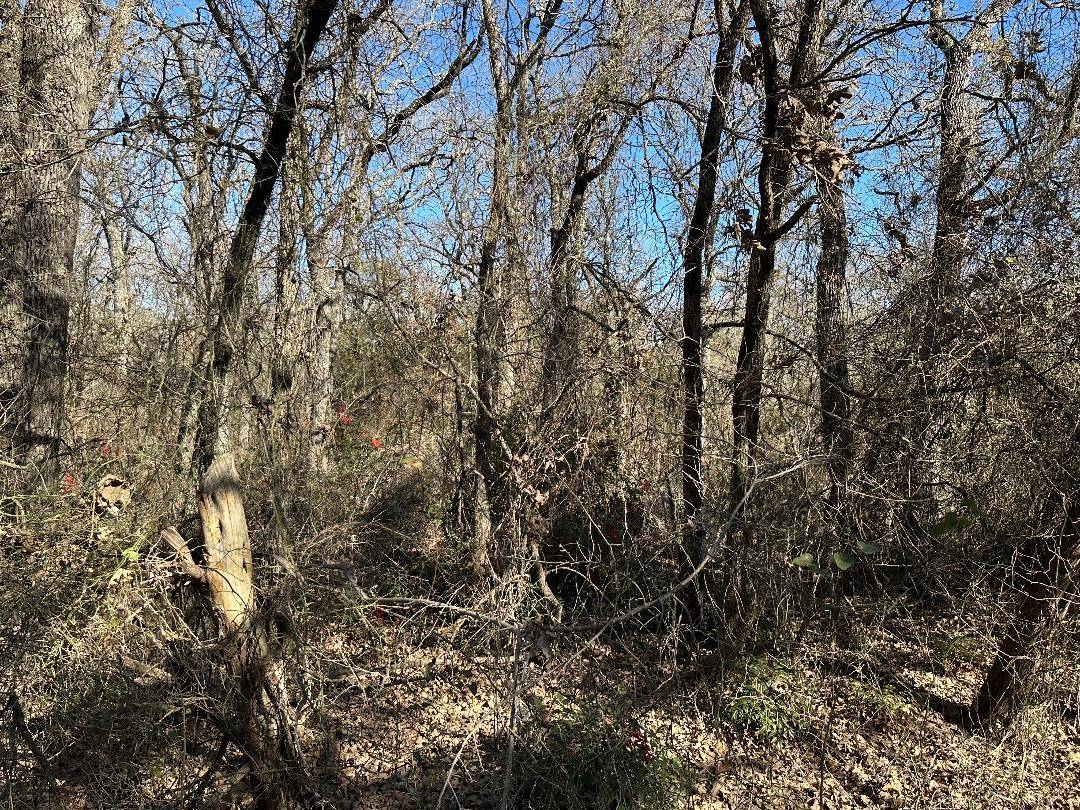 TBD Irving DR, Whitney, TX 76692