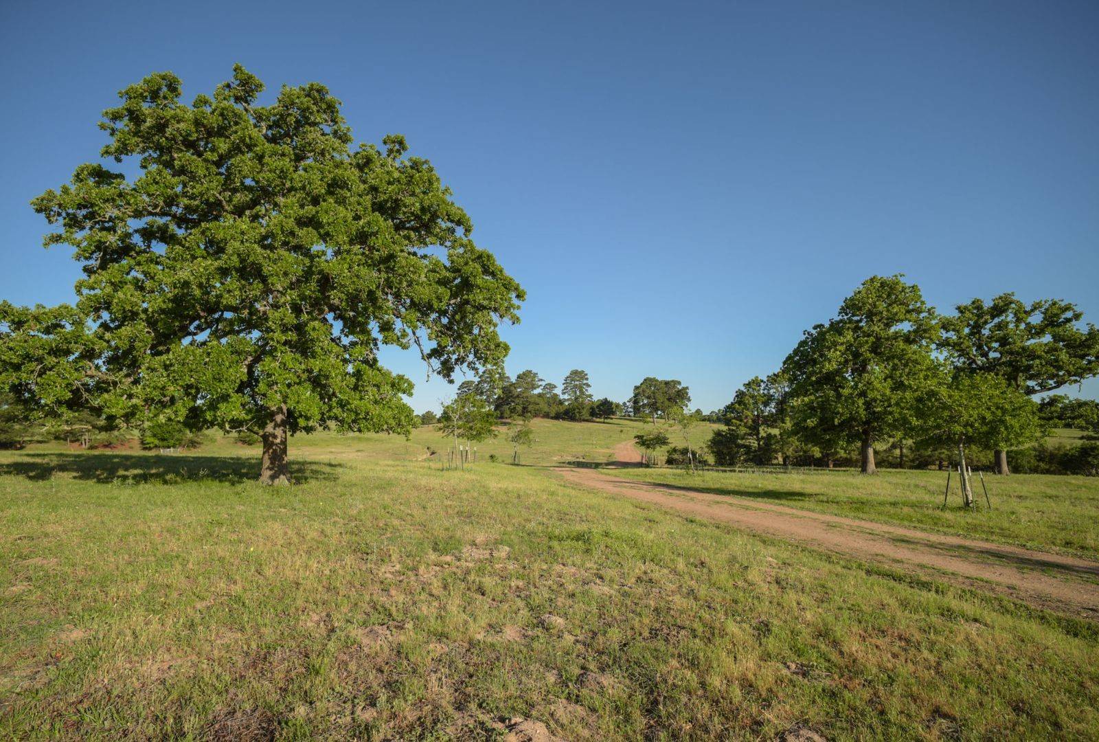 Smithville, TX 78957,1111 Nink RD