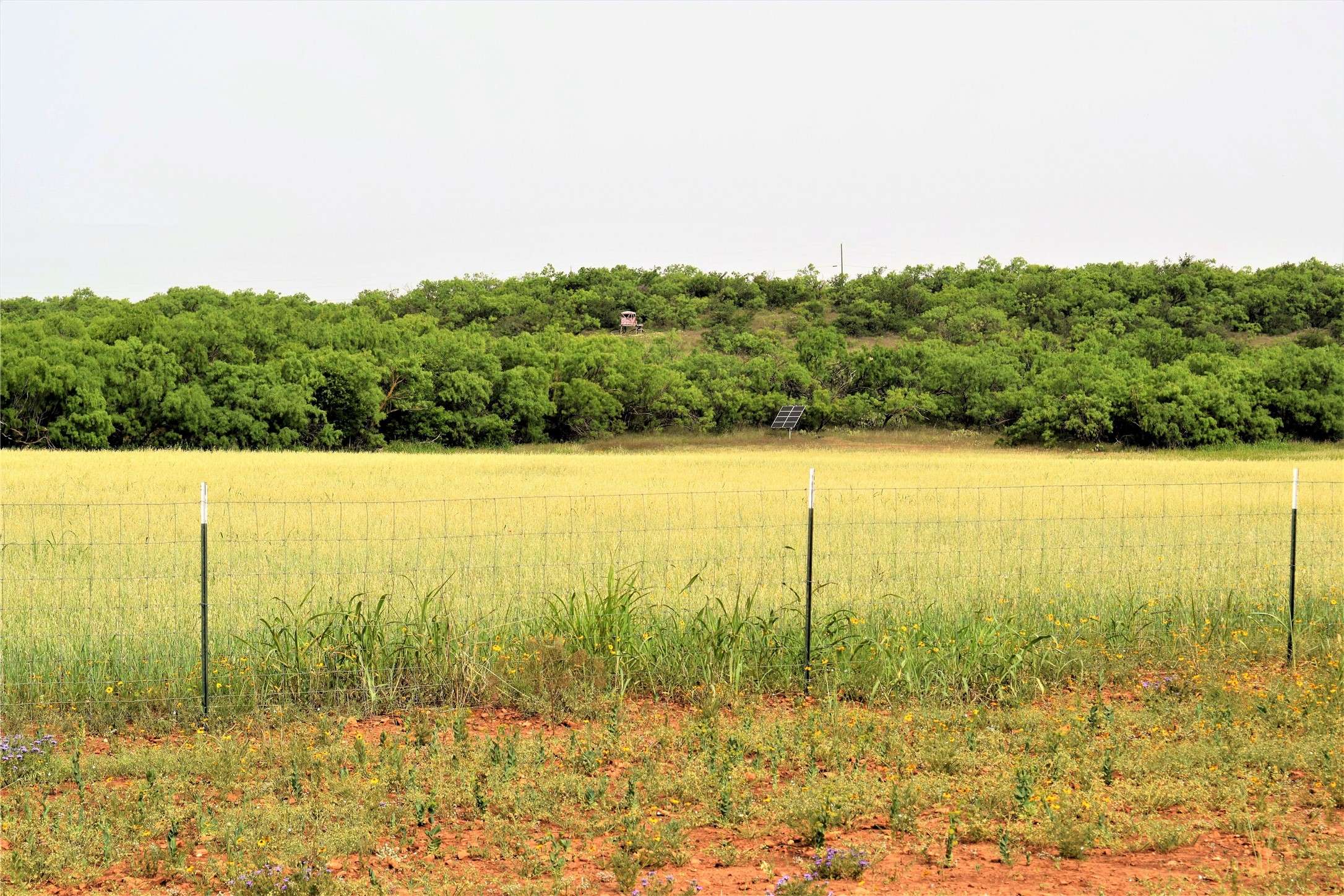 Coleman, TX 76834,351 County Road 126