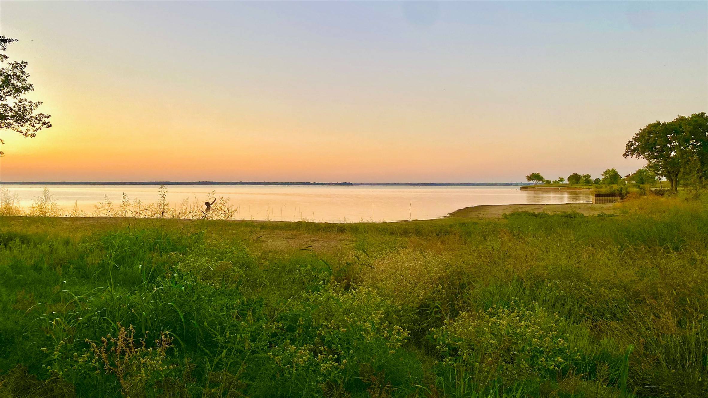 Streetman, TX 75859,Lot 52 Paradise CV