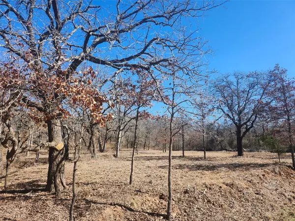 Nocona, TX 76255,259 Comanche TRL