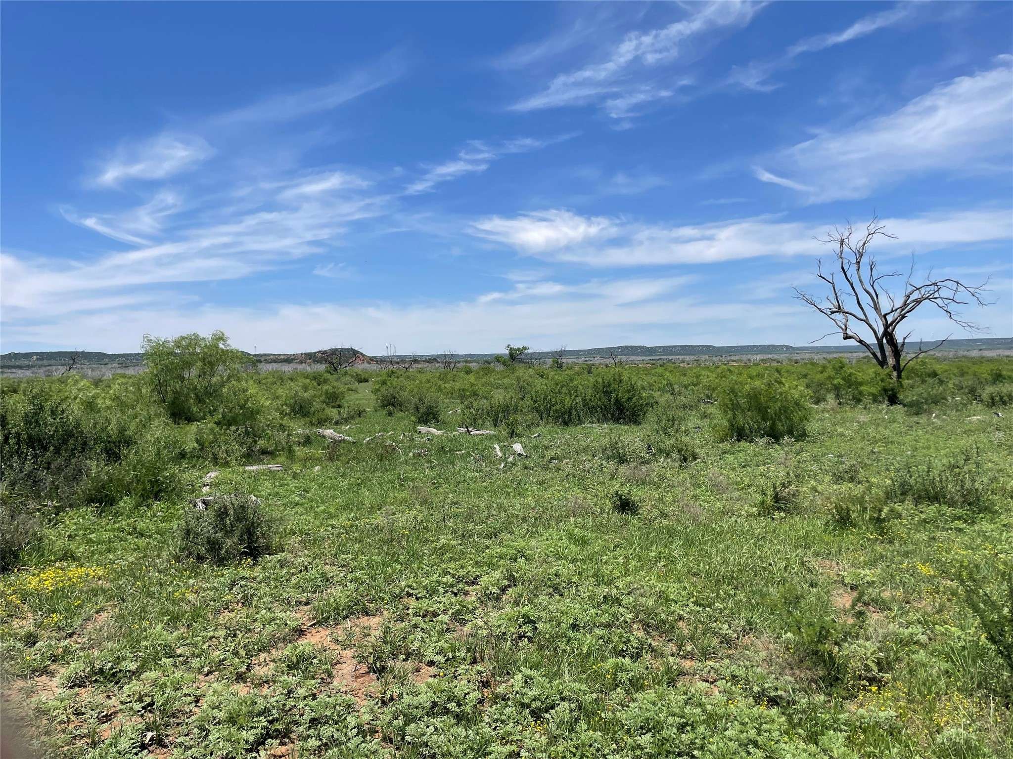 TBD 100 acres CR 343, Merkel, TX 79536