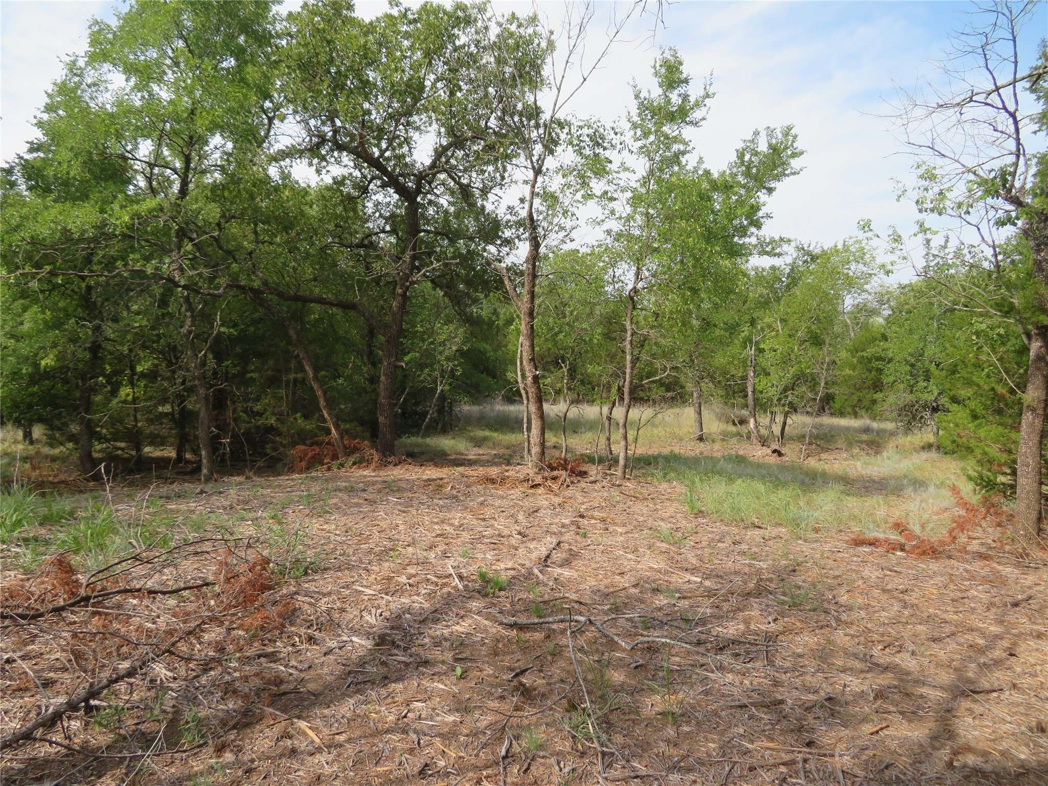 Bowie, TX 76230,000 Horizon Ridge