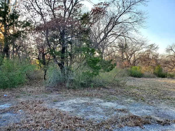 Dallas, TX 75216,2228 Van Cleave DR