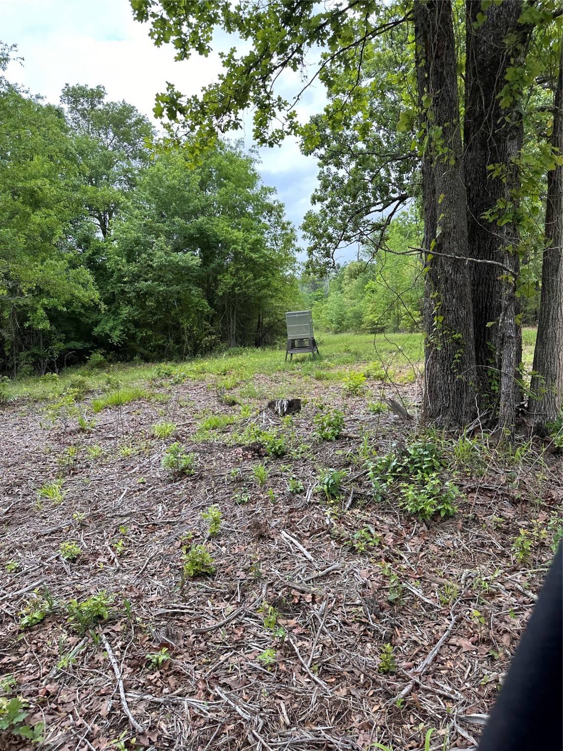 Longview, TX 75605,001 George Richey RD