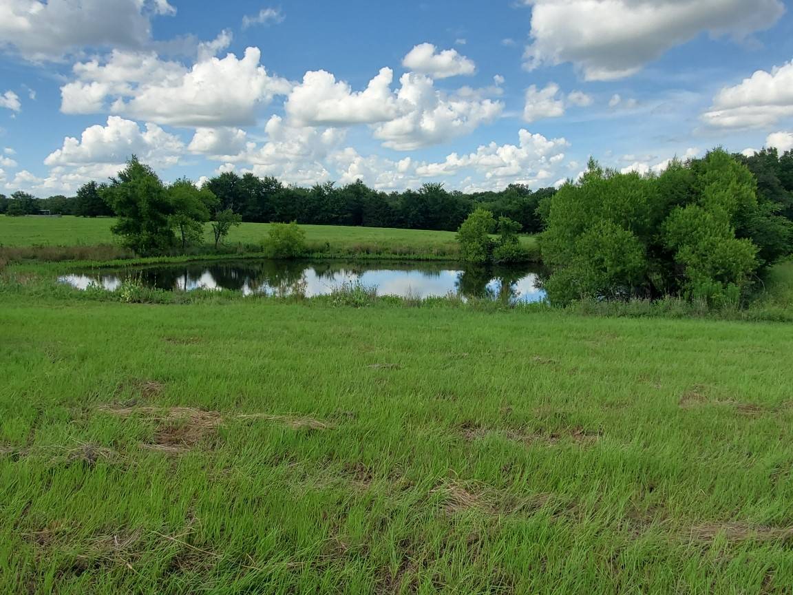 Emory, TX 75440,Lot 1 Rains CR1140 RD