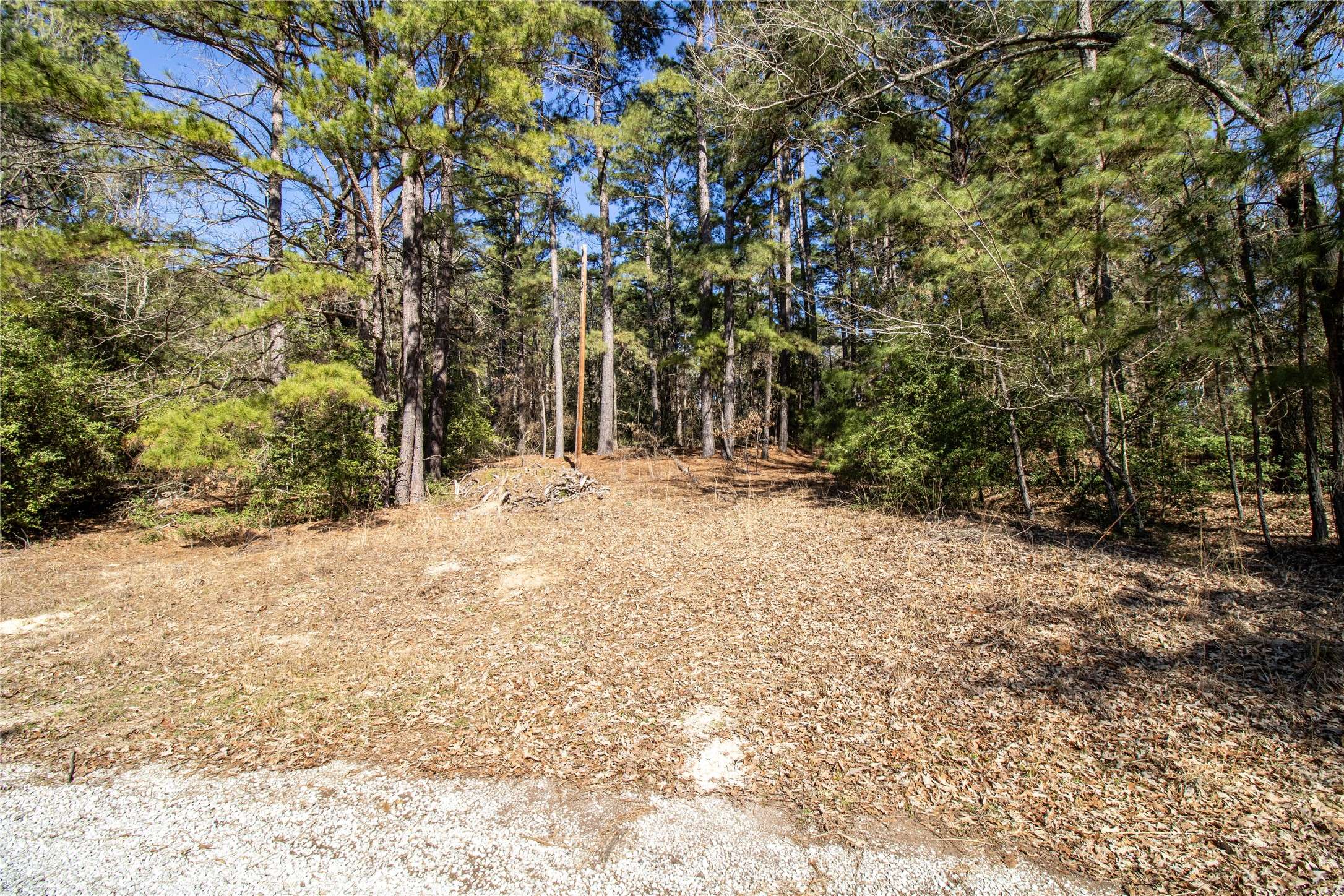 TBD FCR 273, Oakwood, TX 75855