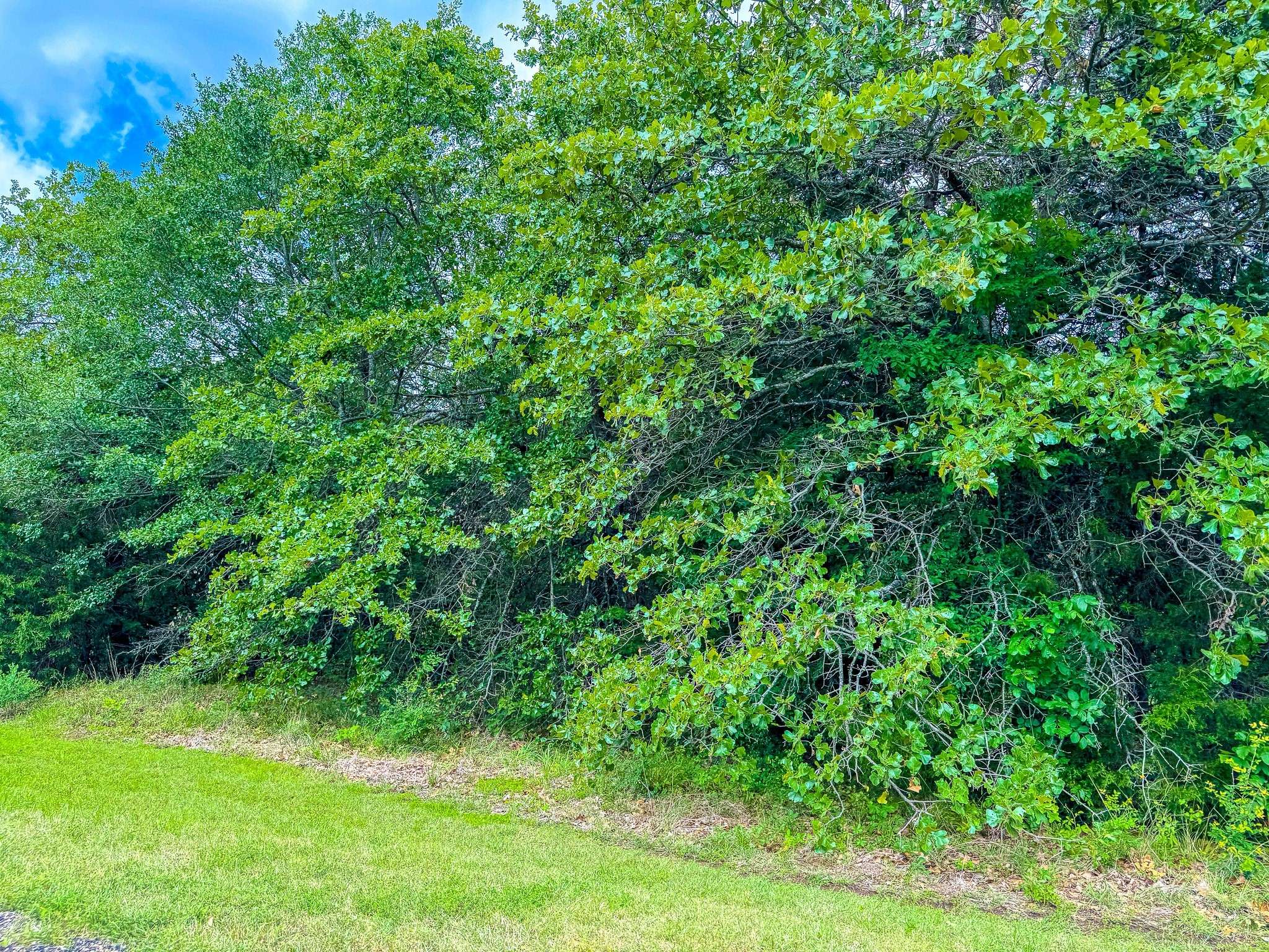Streetman, TX 75859,Lot 5 Appomattox