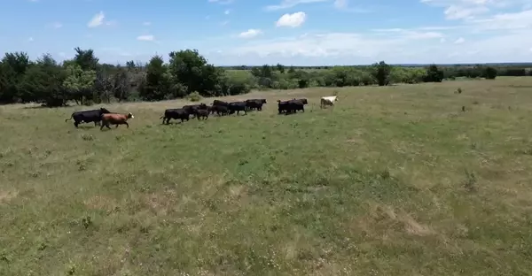 7.5 acres Wright & Keyes RD, Sherman, TX 75092