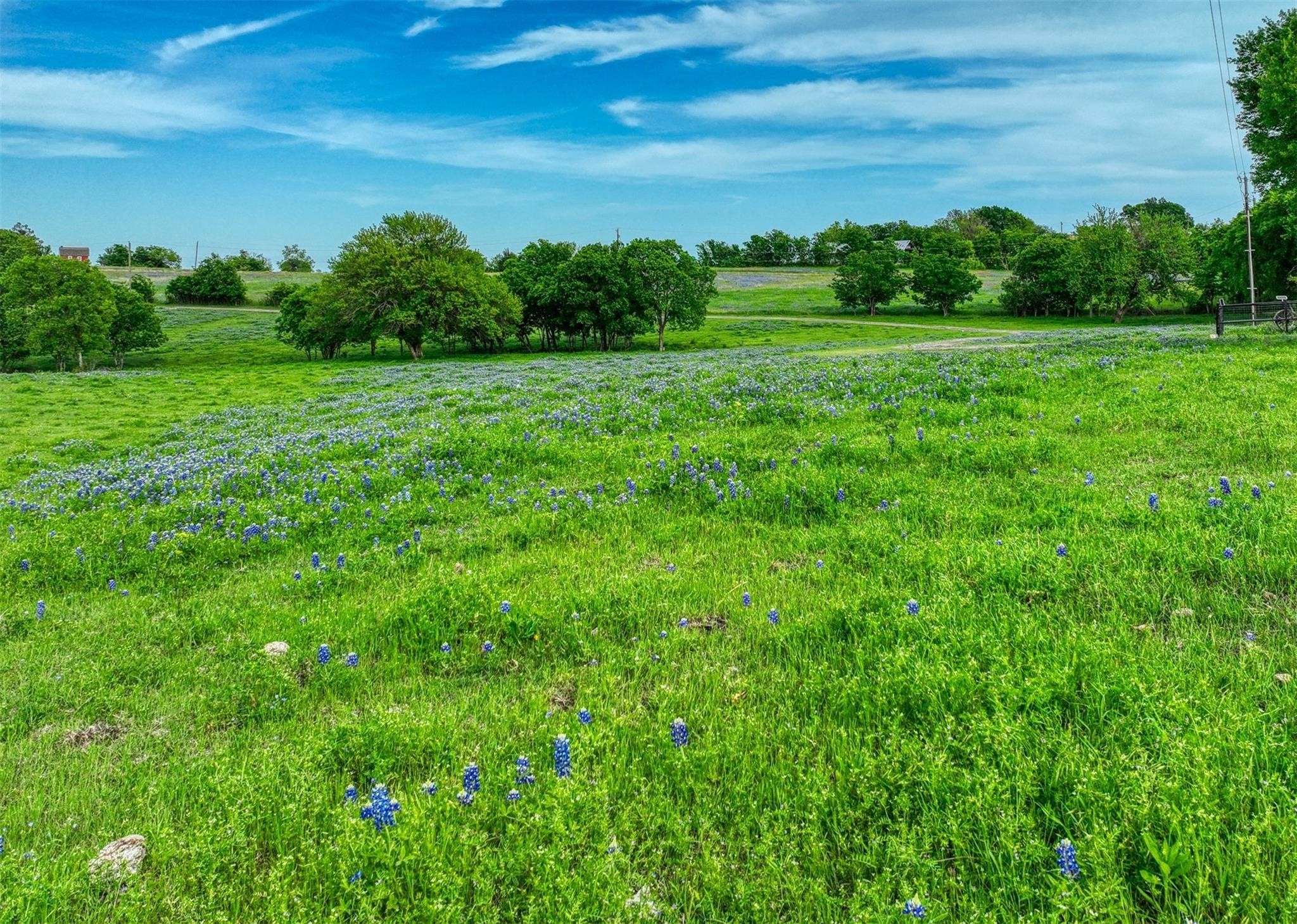 Ennis, TX 75119,TBD Alsdorf RD