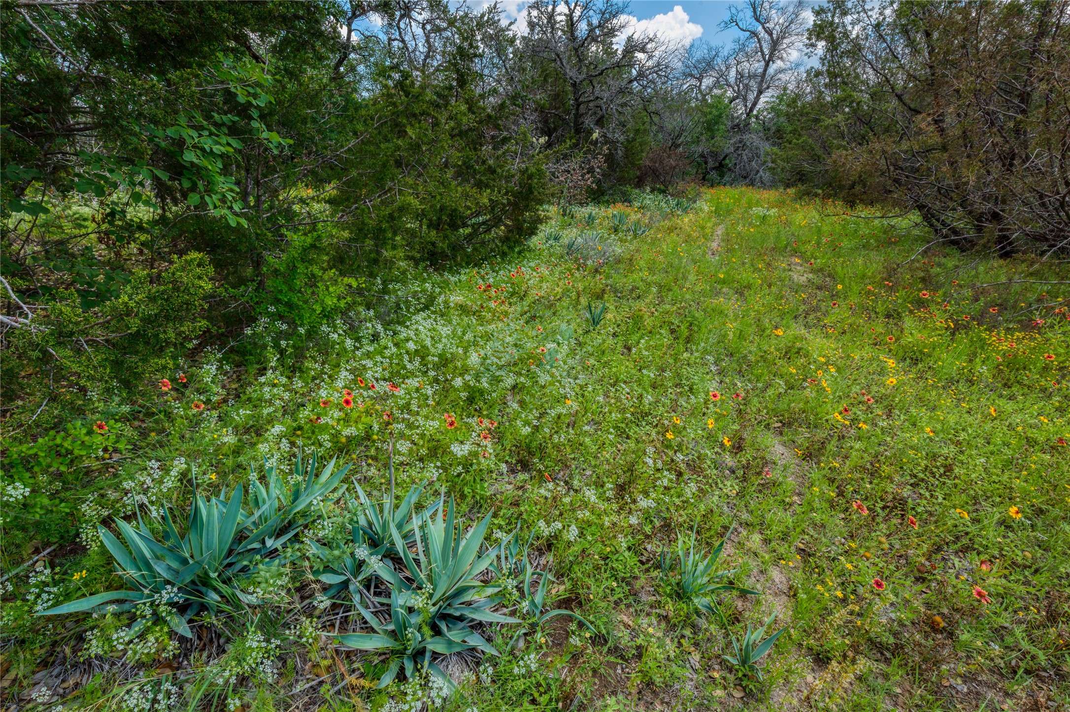 Weatherford, TX 76085,4045 Overlook WAY