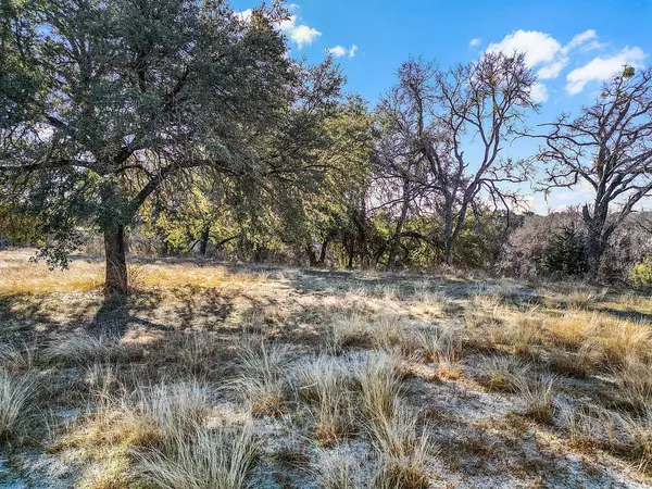 Glen Rose, TX 76043,1731 Tiffany LN