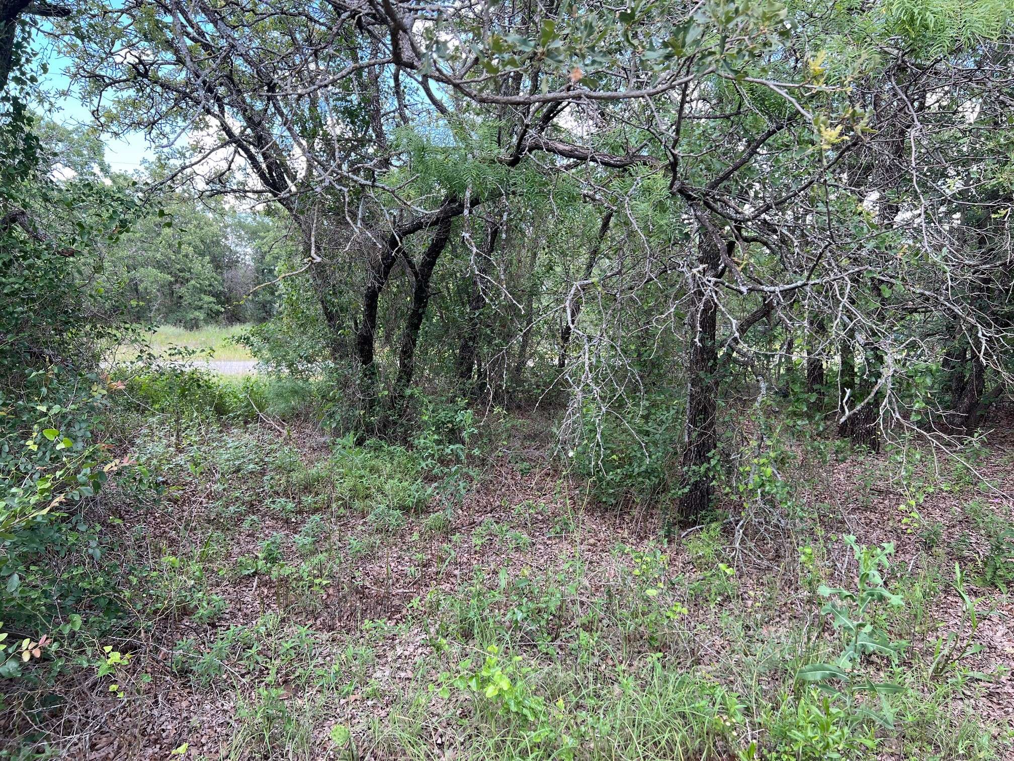 Mineral Wells, TX 76067,153 Julie DR