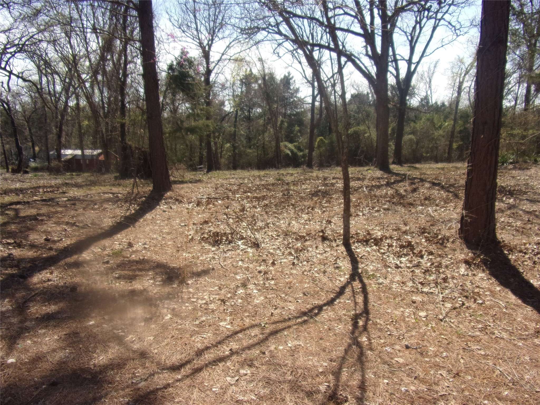 tbd Broad Meadow, Murchison, TX 75778