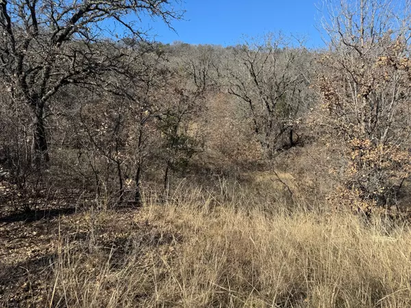 Gordon, TX 76453,C14 Mallard CIR