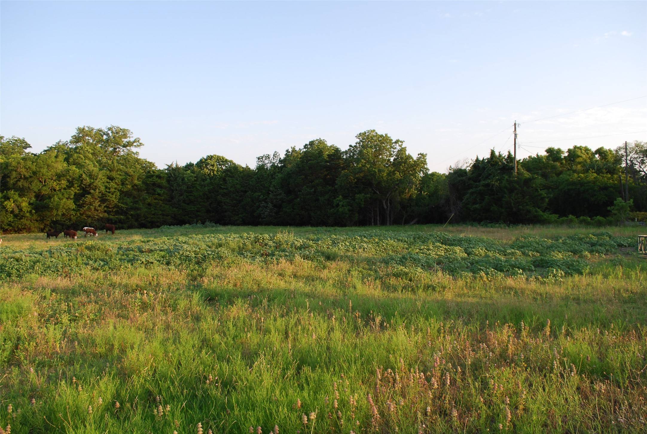 Heath, TX 75032,321 Smirl LN