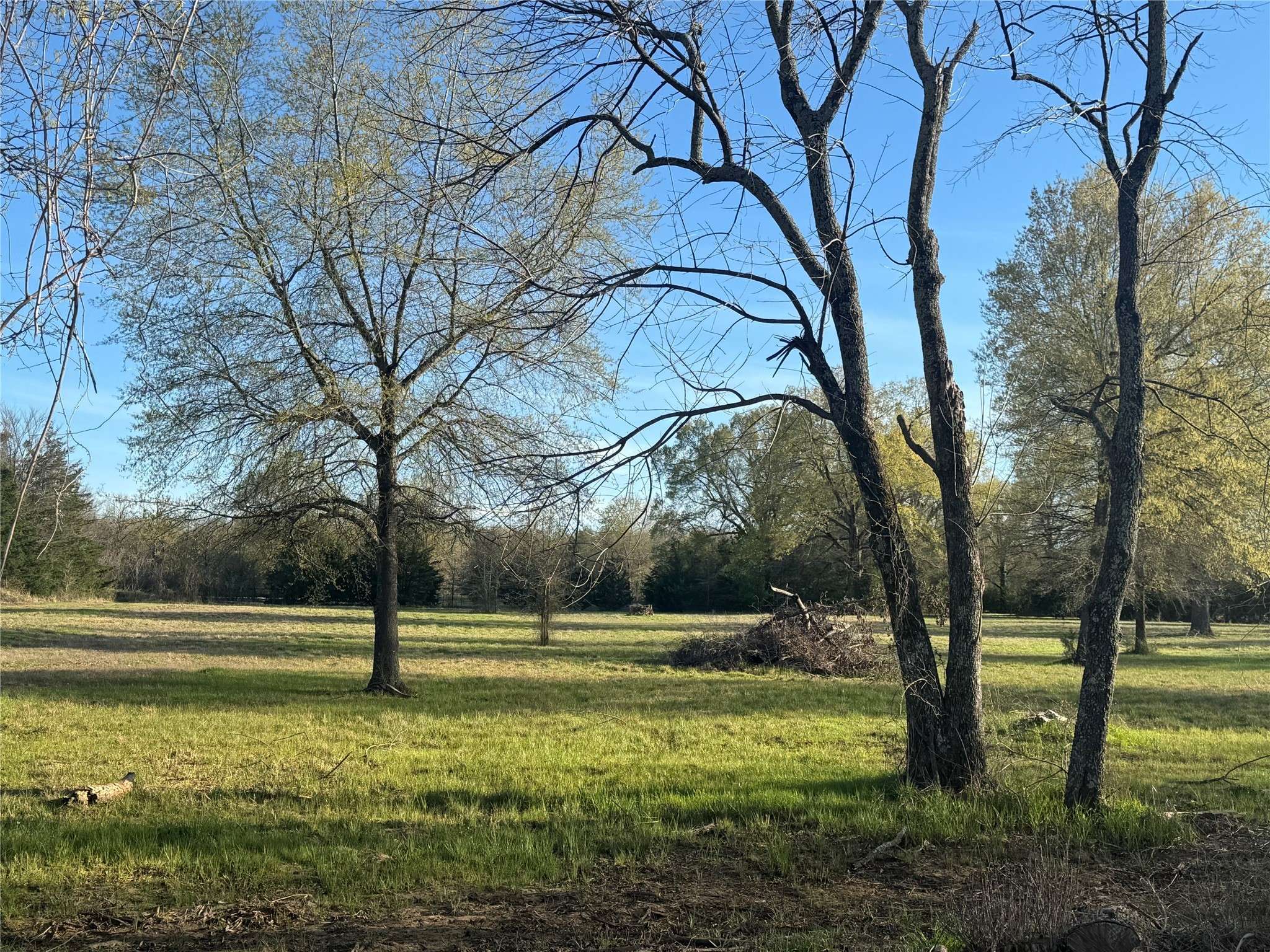 Blossom, TX 75416,1089 COUNTY ROAD 45800