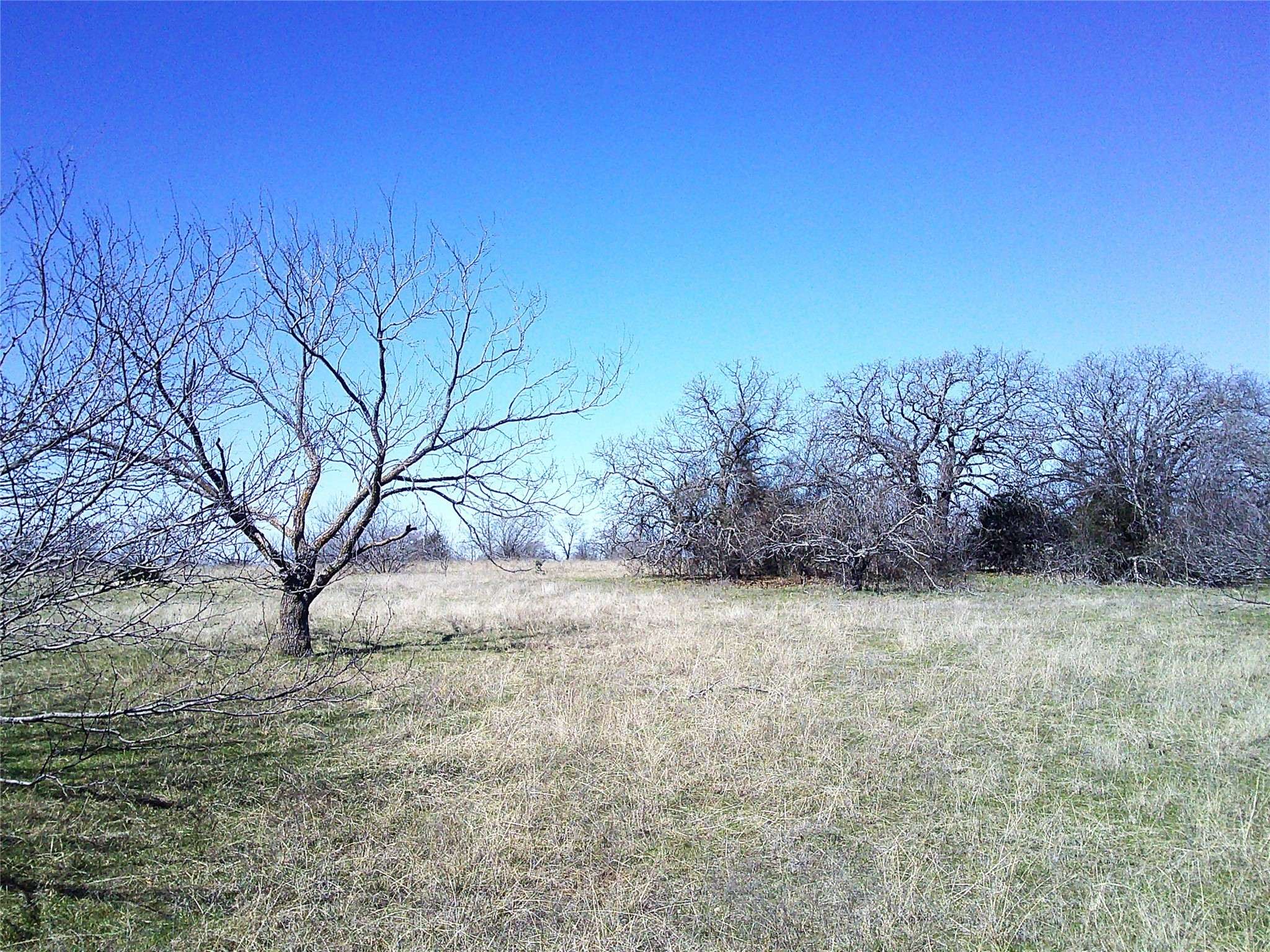 Chico, TX 76431,Tr 1 CR 1750
