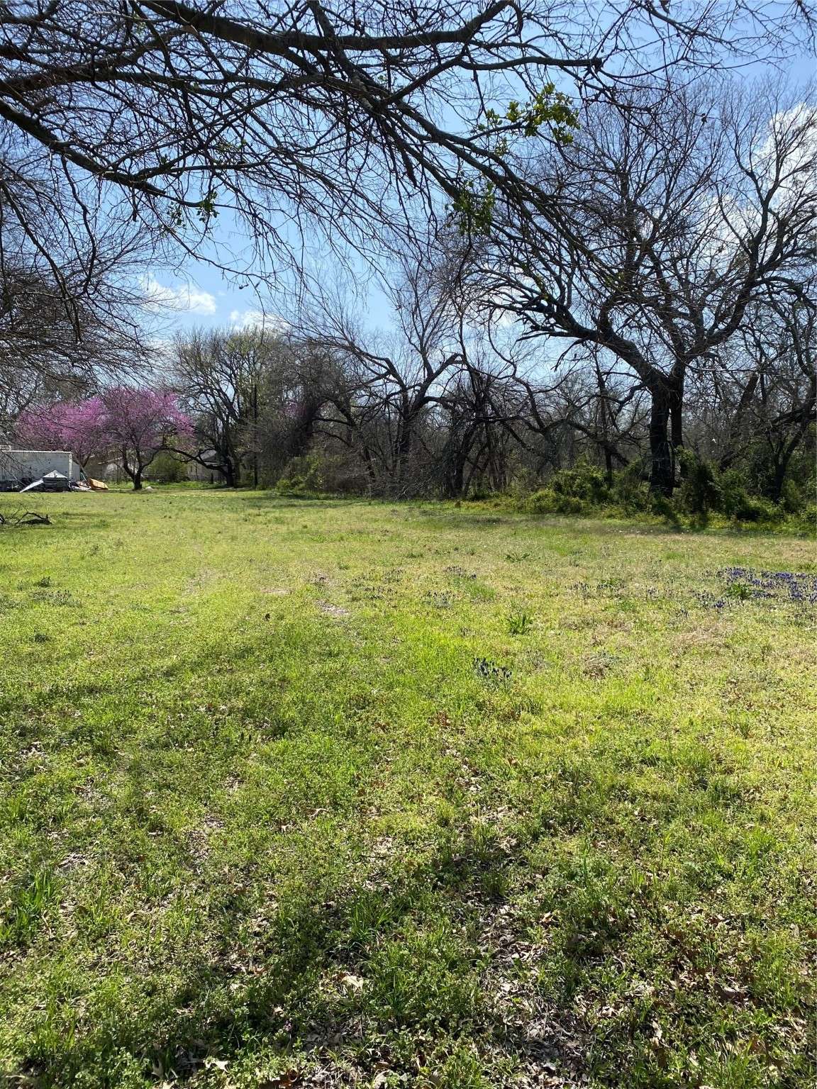 Gainesville, TX 76240,802 Myrtle ST