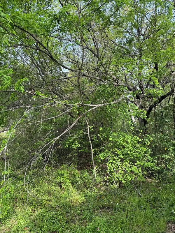 Gun Barrel City, TX 75156,341 Schooner RD