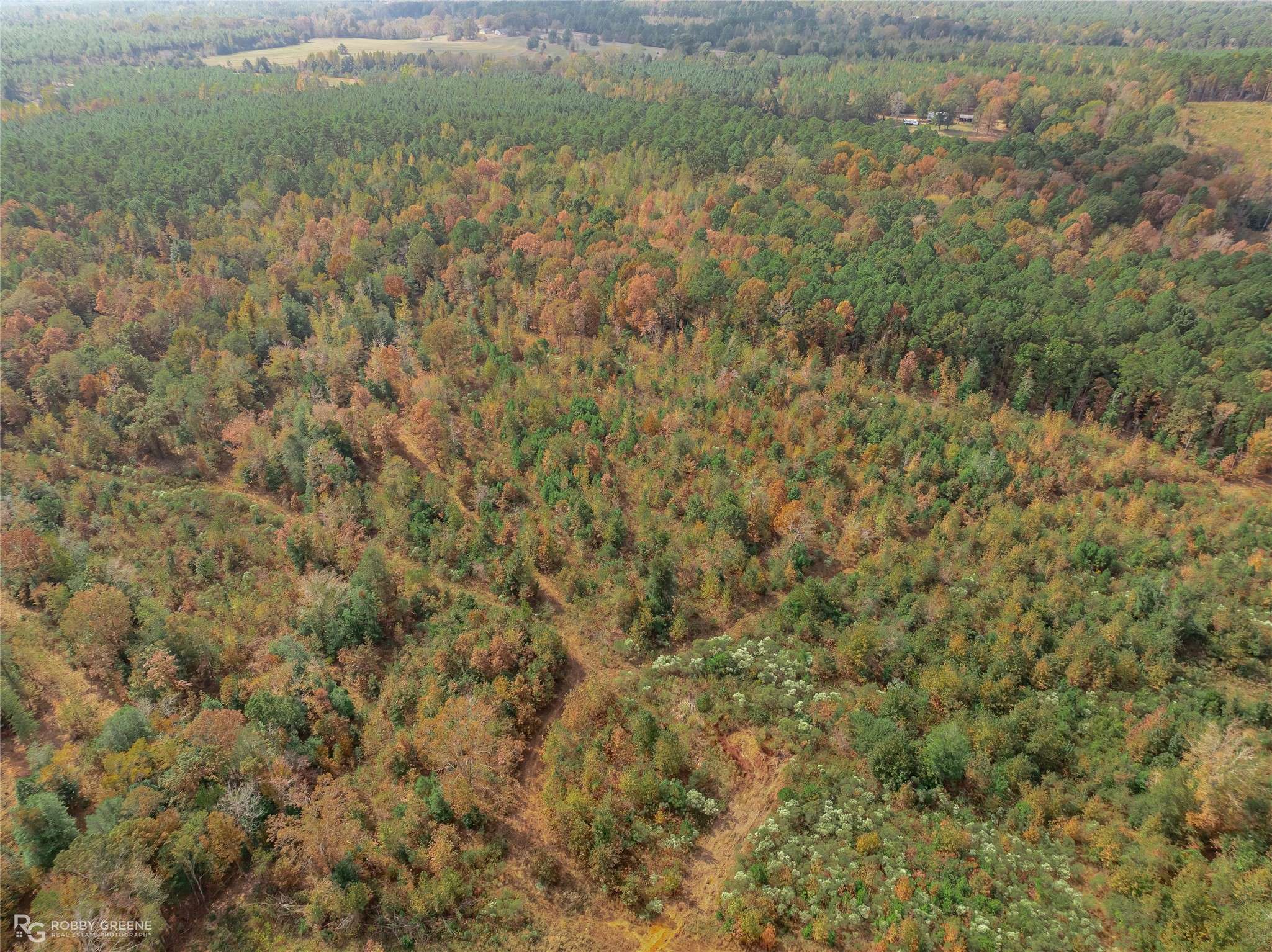 200 Martin Rd RD, Plain Dealing, LA 71064