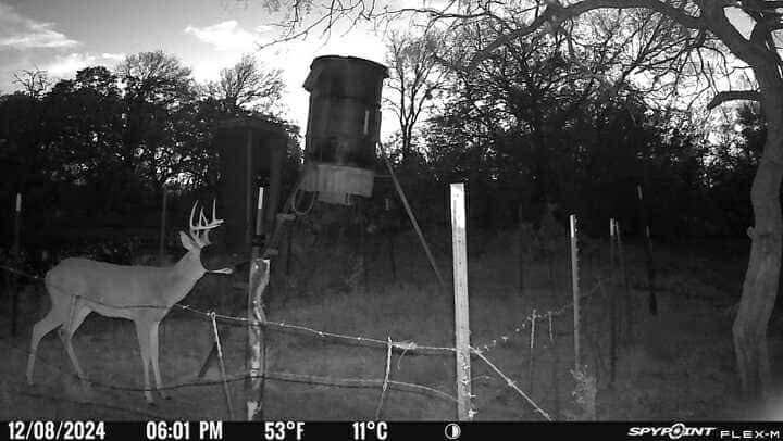 TBD Hcr-2115, Whitney, TX 76692
