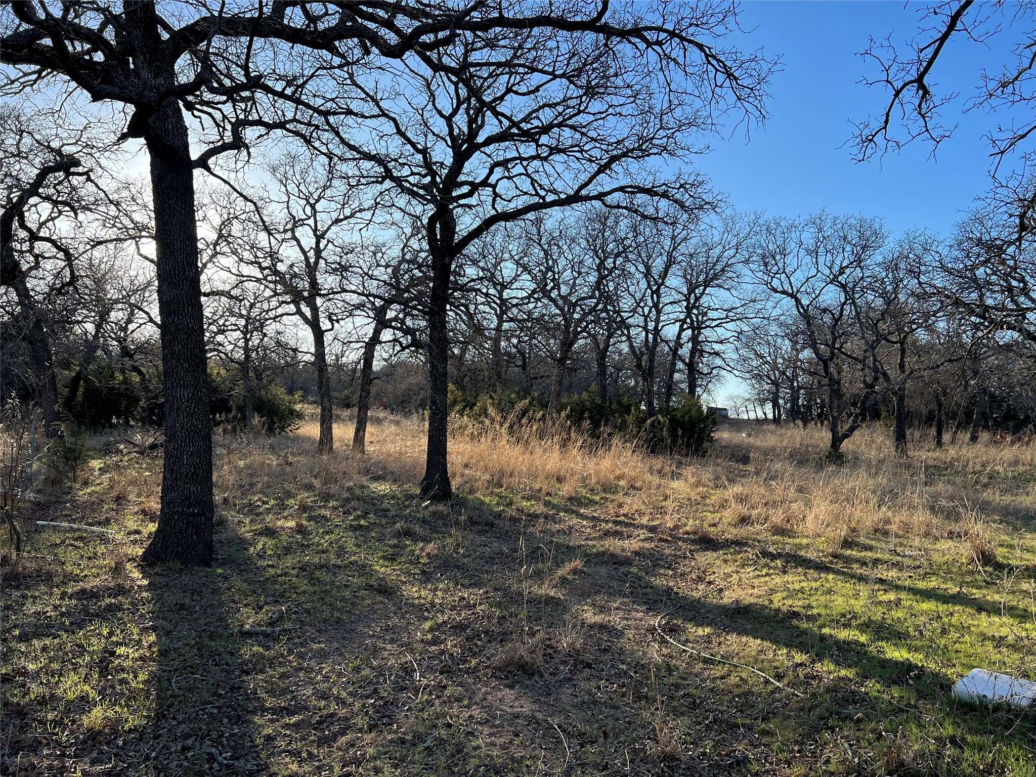 Ranger, TX 76470,16675 County Road 120