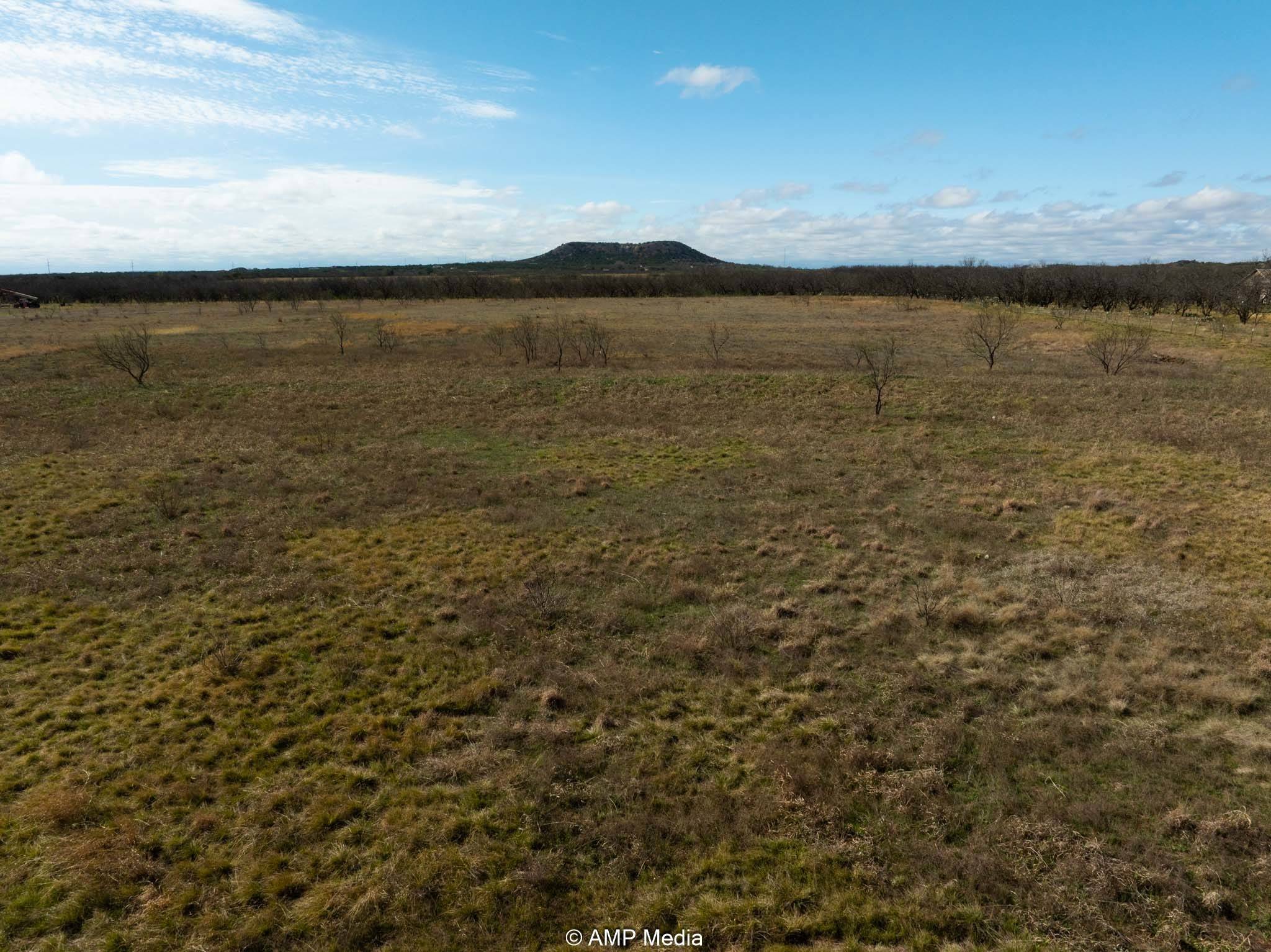 Ovalo, TX 79541,TBD CR 134