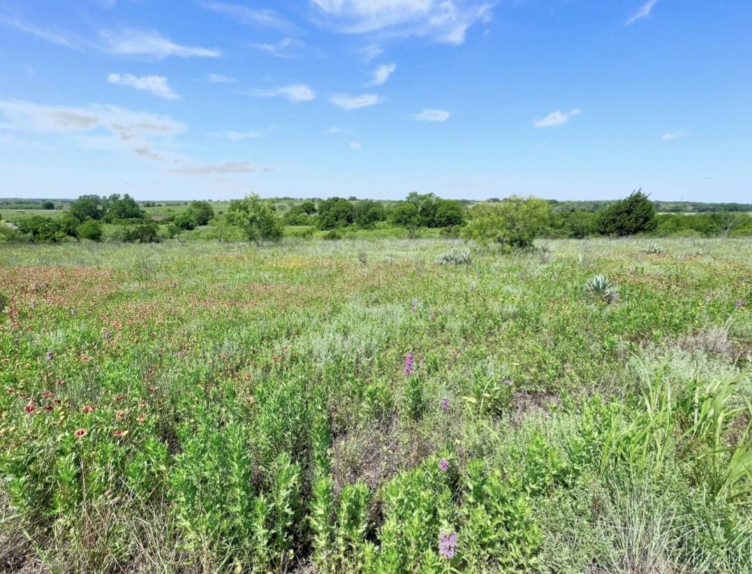 Comanche, TX 76442,LOT 69 Greenwood Road