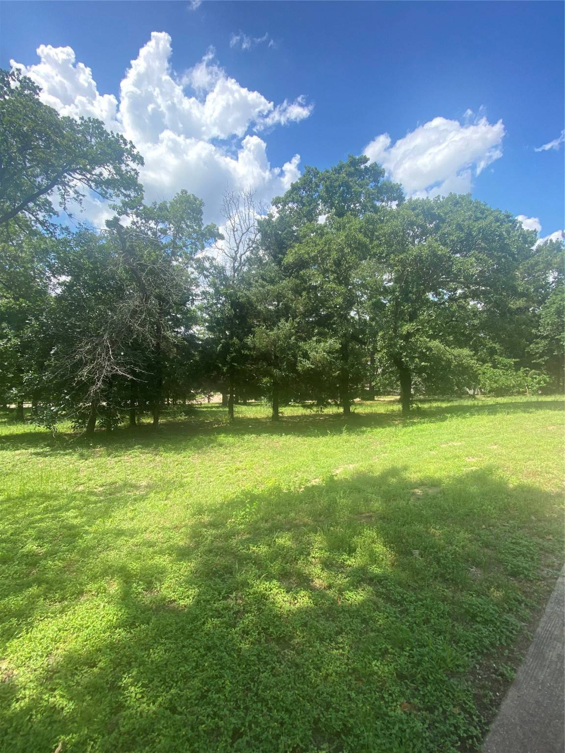 Tyler, TX 75709,2634 Blancas DR