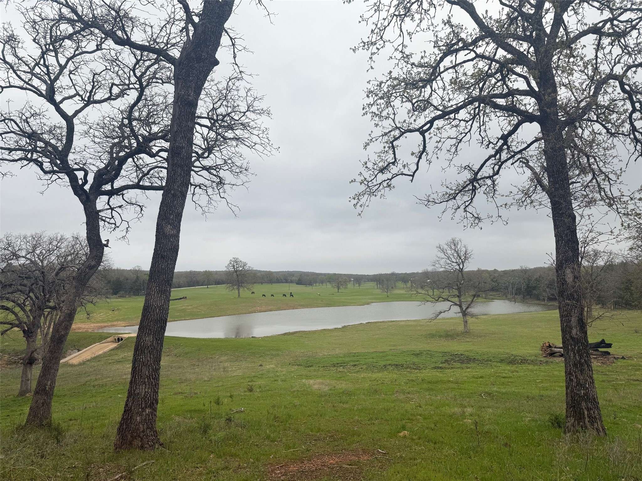Collinsville, TX 76233,2826 County Road 215