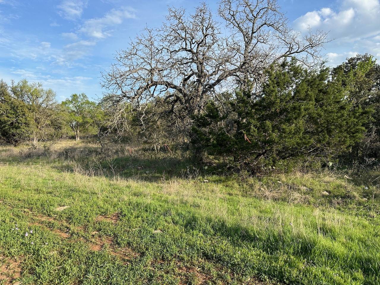 Brownwood, TX 76801,103 Falcon DR